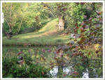 Pond on the grounds of the Kilgore-Lewis House